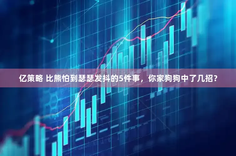 亿策略 比熊怕到瑟瑟发抖的5件事，你家狗狗中了几招？
