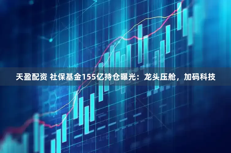天盈配资 社保基金155亿持仓曝光：龙头压舱，加码科技